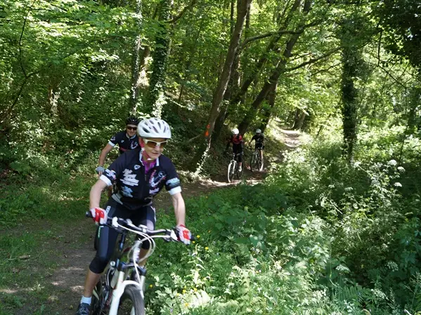 Bois-de-Chevrier.JPG
