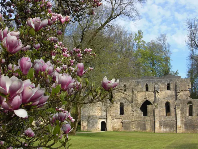 Trois-Fontaines Abbaye aurélie boileau.JPG
