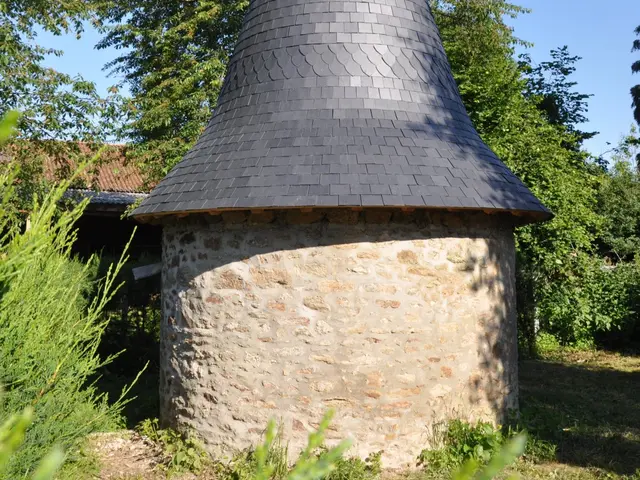 178009250-6-2.jpg