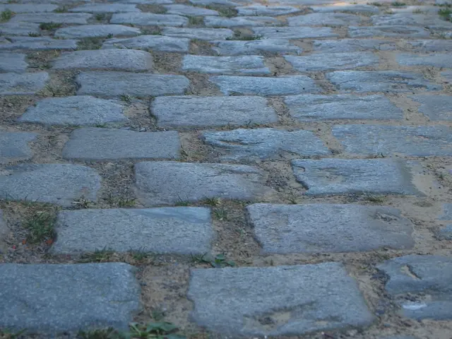 3429146_paves_2jpg.jpg