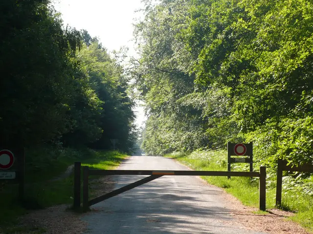 RANDOBRE0350000U-Entre-Ille-et-foret-Foret-de-Rennes.jpg