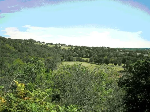 La-roche-vigeanne-Peyrat-de-Bellac.jpg