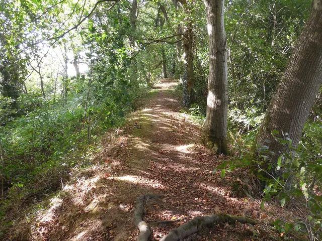 chemin-sommet-Castel-Du.JPG