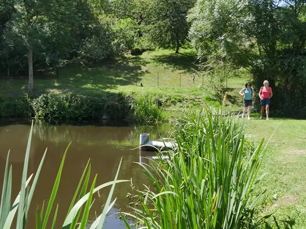 -SMBMSM---etang-St-Marcan.JPG