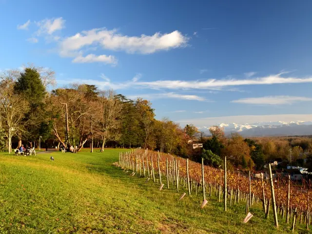 parc-du-chateau-franqueville.jpg
