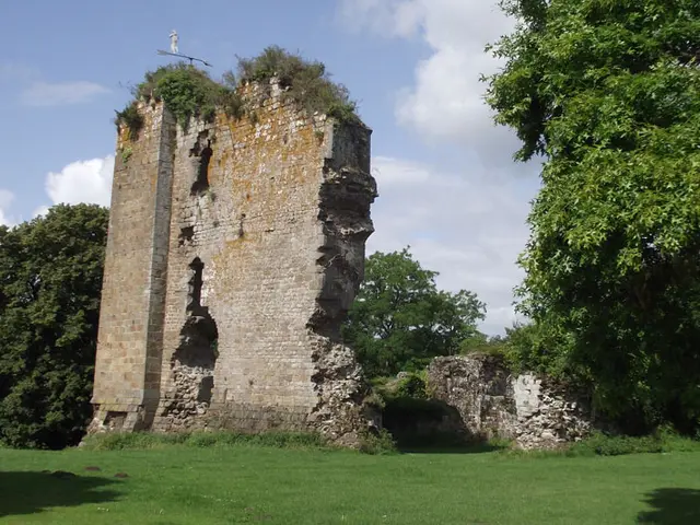 RANDOBRE0350000Q-Entre-bief-et-Bocage-Hede-son-donjon.jpg