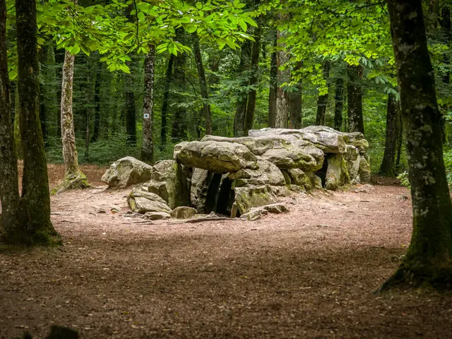 Allee-couverte-de-La-Roche-aux-Fees---Foret-du-Mesnil---Tresse-Rodolphe-Marics-1154-1200px.JPG