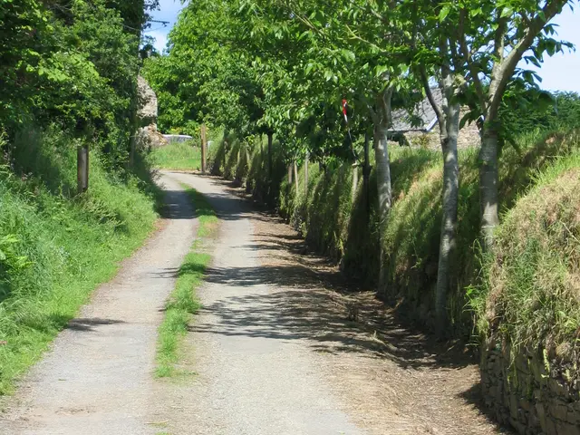 talus-mur-a-encoches.JPG