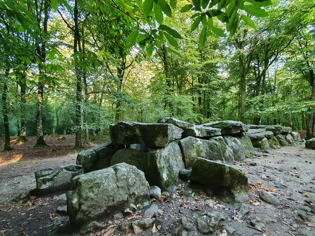 Allee-couverte-de-la-Foret-du-Mesnil---Tresse-SMBMSM-651--1-.JPG