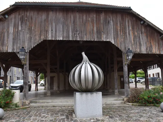 Chavanges_-_Les_halles_wikimedia.jpg