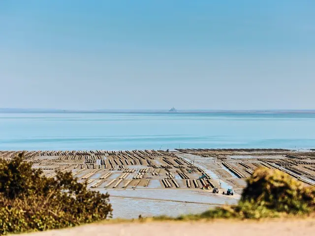 Les-parcs-a-huitres---Cancale-Alexandre-Lamoureux.JPG