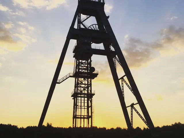 3422764_img_3324jpg.jpg