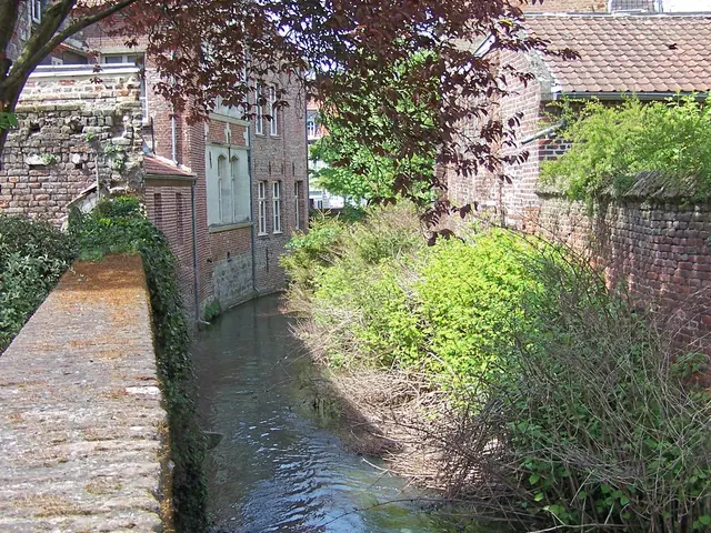 7455614_valenciennes-la_rhonelle_a_valenciennesjpg.jpg