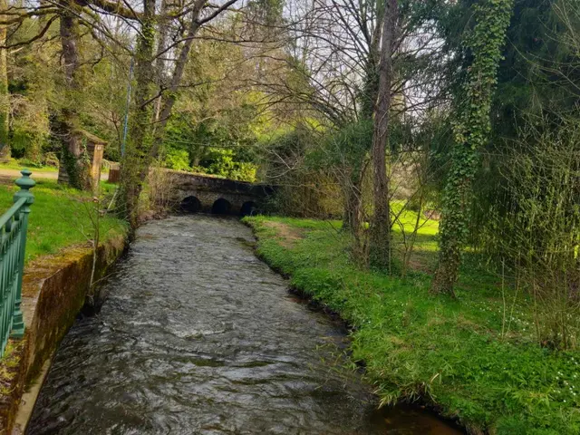 Le-Sentier-des-Biches---La-Tardoire-11---Sirtaqui.jpg