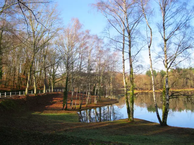 Reserve-d-eau-de-la-Mazelle-en-fin-d-automne-web-2.jpeg