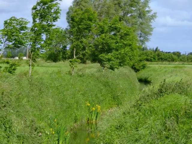 Essai-du-Bois-Robin.jpg