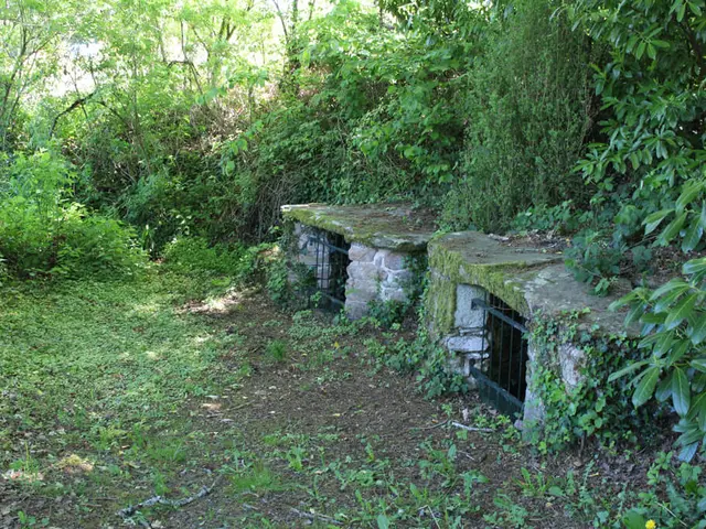 Fontaines-des-Cars-OTI-PSY.JPG