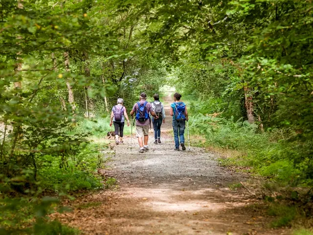 -R-Marics---Foret-du-Mesnil.jpg