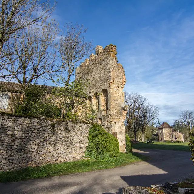 Vestiges du château à Aujols © Lot Tourisme - C. Novello-3.jpg