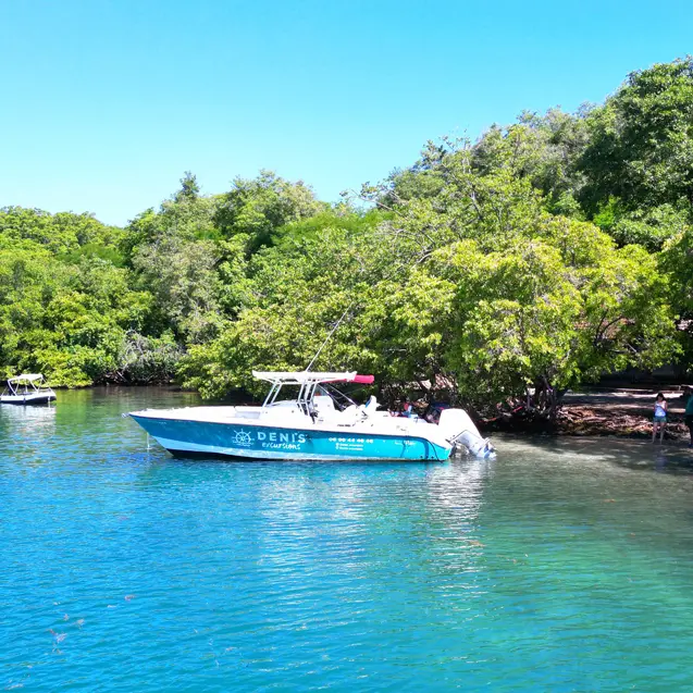 denis excursions 1.jpg