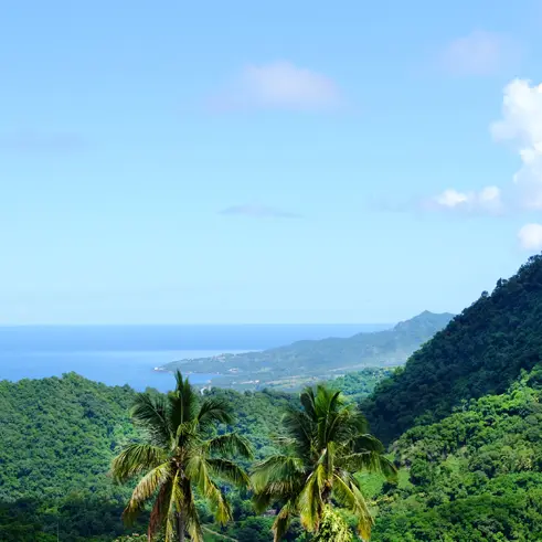 pdv morne vert 3 copie.jpg