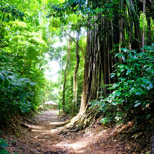 for la phil 7 copie.jpg