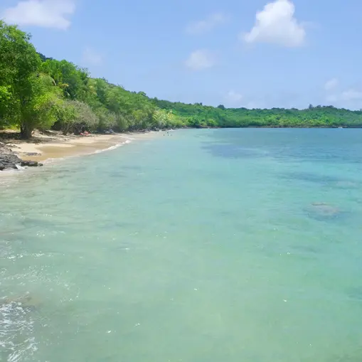 pla mar poin borgn 5 copie.jpg