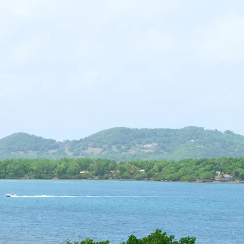 pdv pte rou 1 copie.jpg