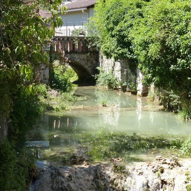 Cabrerets-sagne.JPG