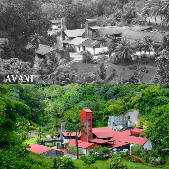 fev   : 07000001545 copie.jpg