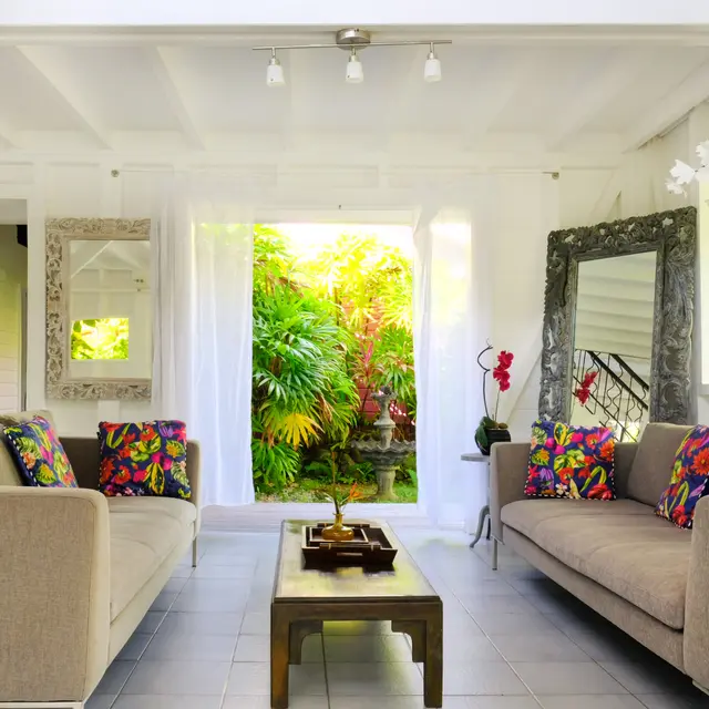 dom de la palm 6.jpg