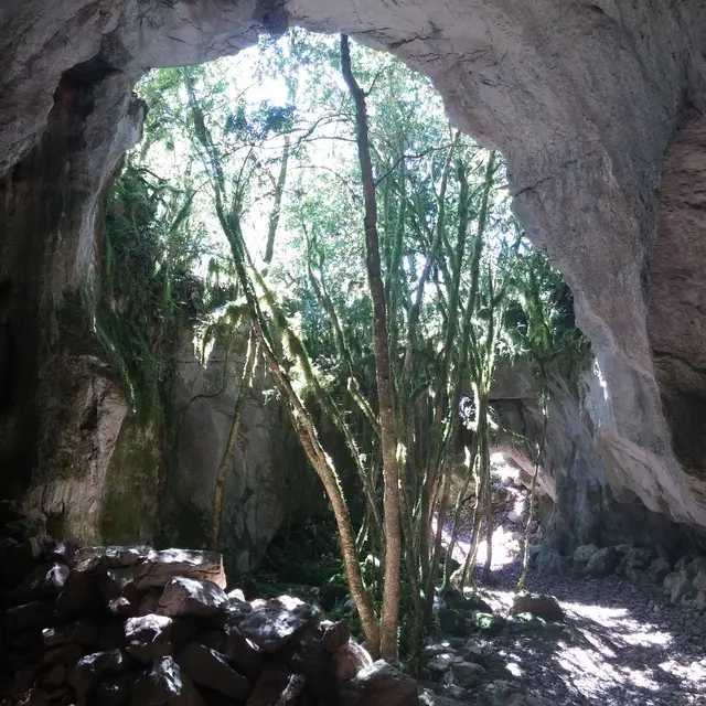 Le Cuzoul de Rémi.jpg