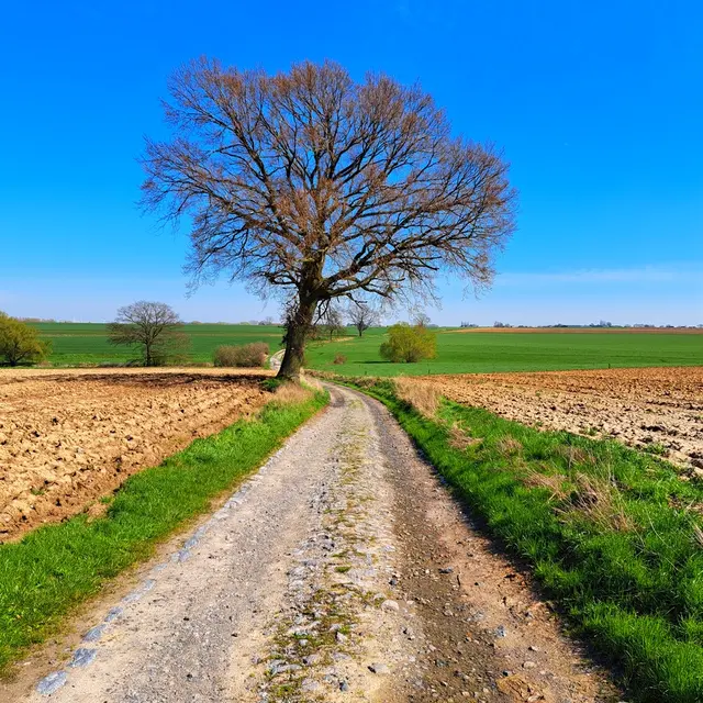 chemin du moinil à héron - J. Simonis version web.jpg