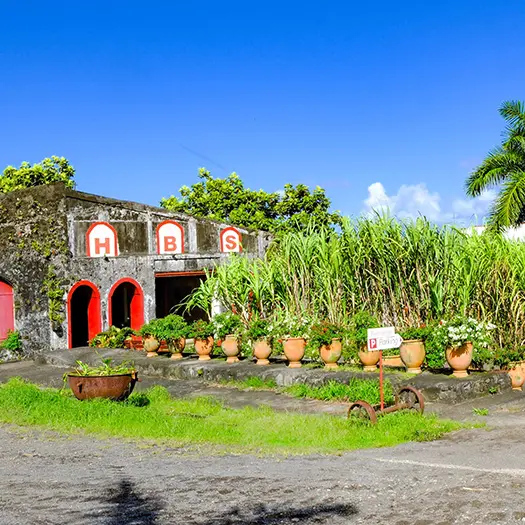 Distillerie-HBS-HabitationBeauséjour-GrandRiviere-Martinique copie.jpg
