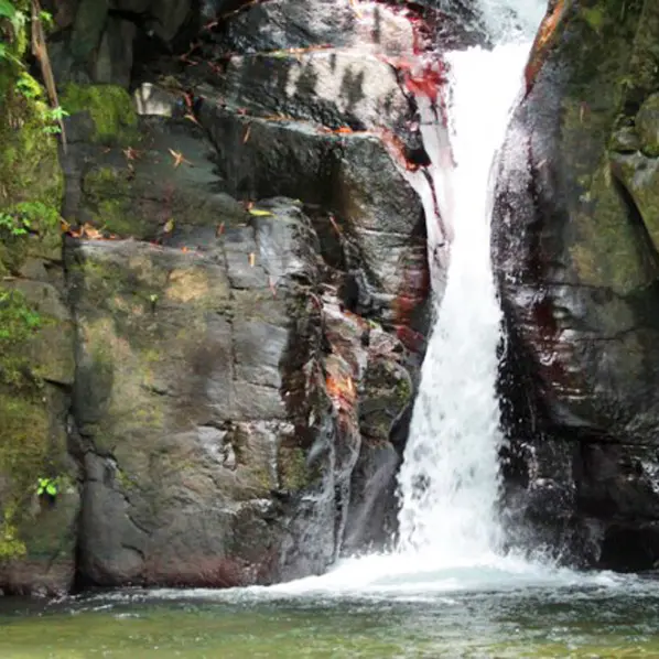 cas rav bar 1 copie.jpg