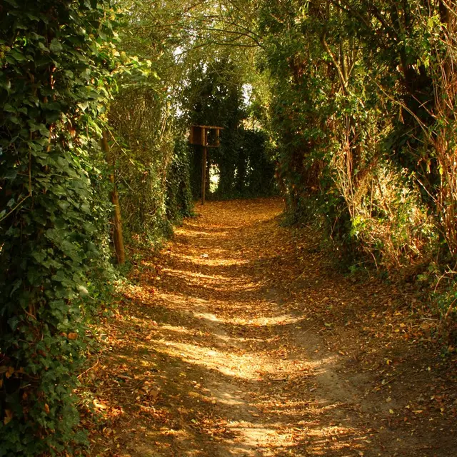 sentier dique Houbart 2018 1.JPG
