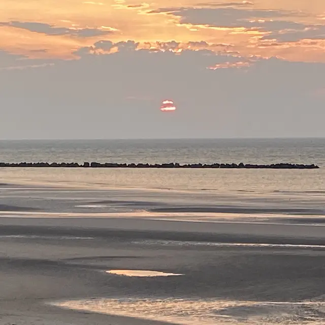 bel horizon.jpg