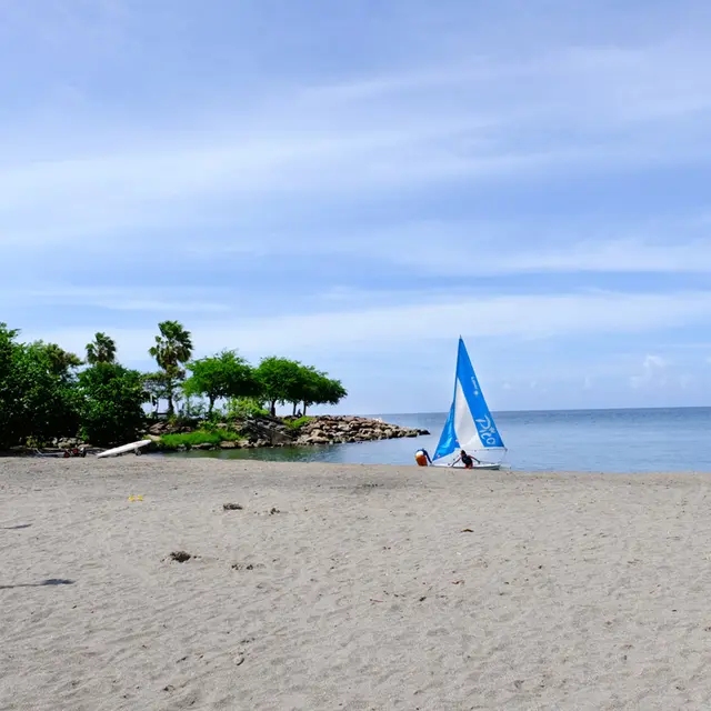 PLA SCH ANMA 4 copie.jpg