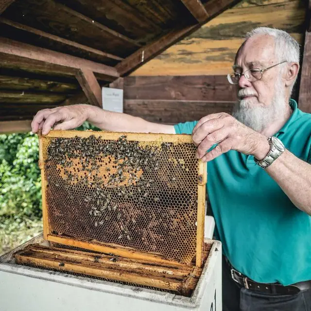 image clos abeille(1).jpg