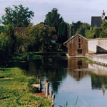 paysage2.jpg