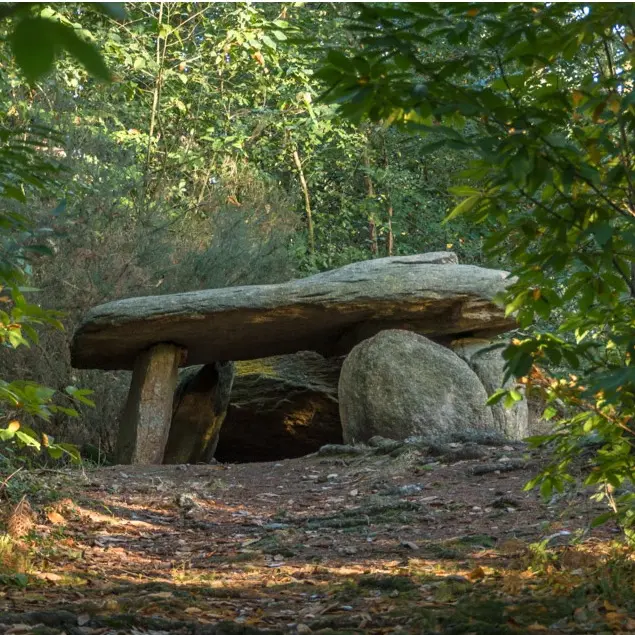 Dolmen des Follets - St Gravé.jpg