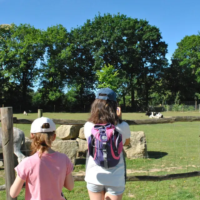 branfere_ENH Sejours-3.jpg