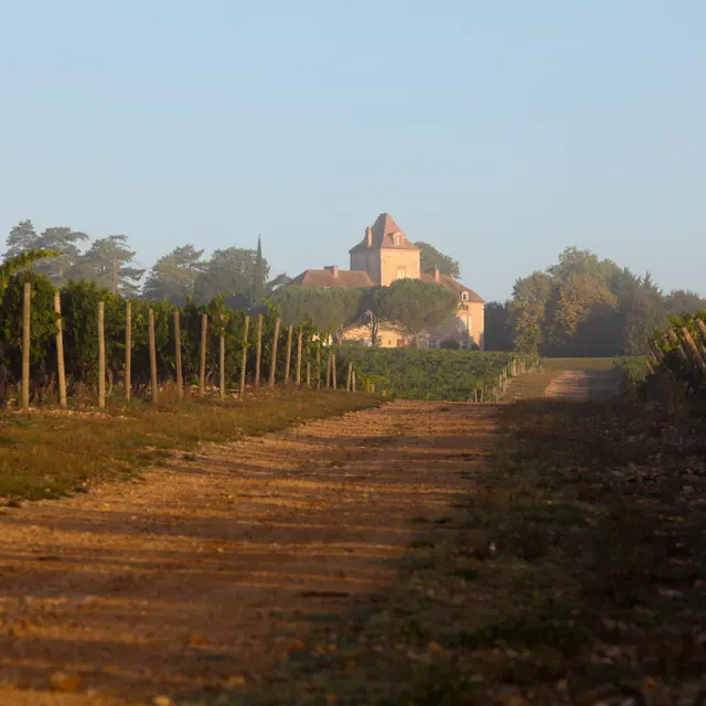 visite-haute-serre2.jpg