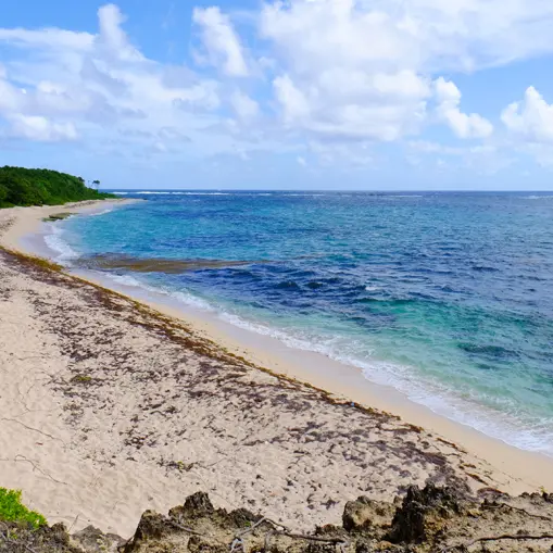 pla mar cap mac 2.jpg