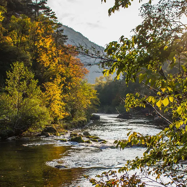 gorges-dourbie_©_gregalric.jpg
