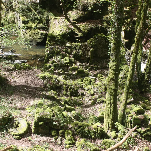 MOULIN DE MONFREU 01 PR.JPG