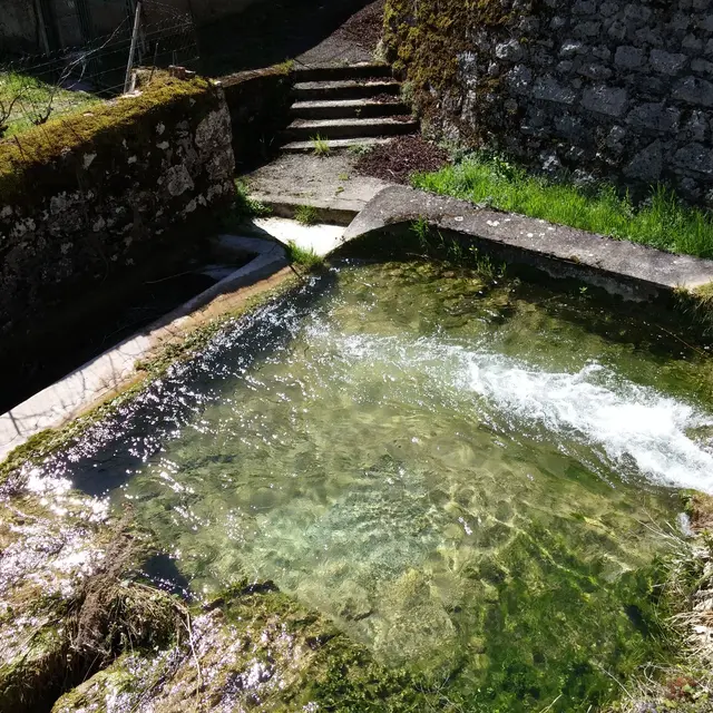détail du lavoir.jpg