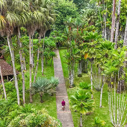 jardindebalata17-fortdefrance-martinique.jpg