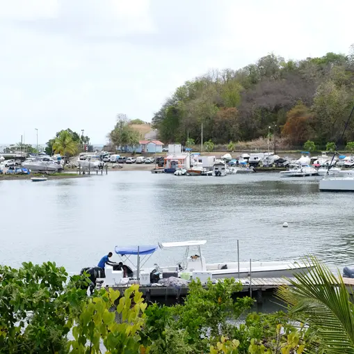 marin fran 3 copie.jpg