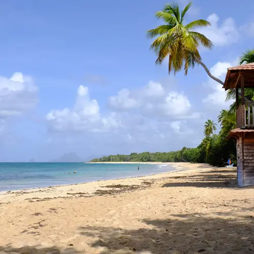 PLA SAN SAL 3 copie.jpg